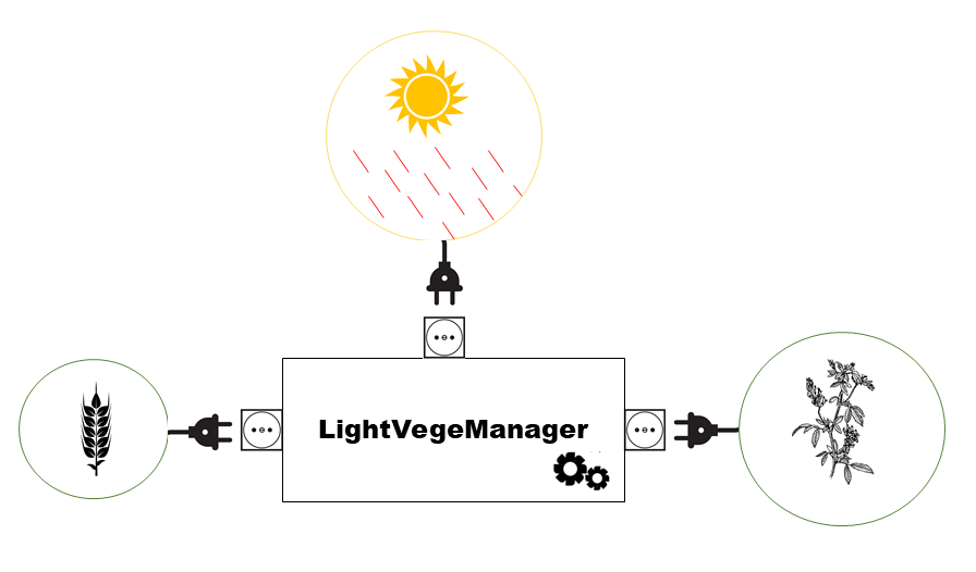 _images/illus_lightvegemanager.png